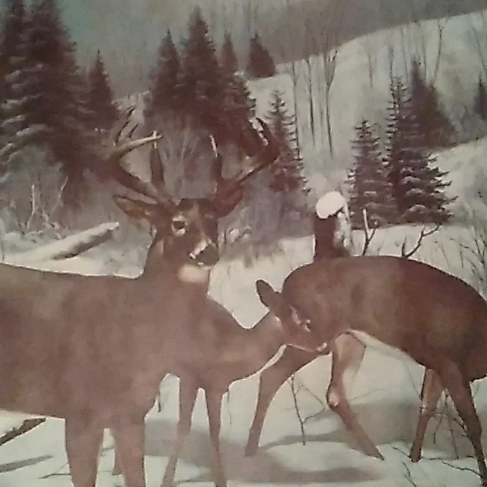 DEER MURAL WILDLIFE WISC VINTAGE  MURAL BUCKS  🦌 RARE WALL HUGE EVC
